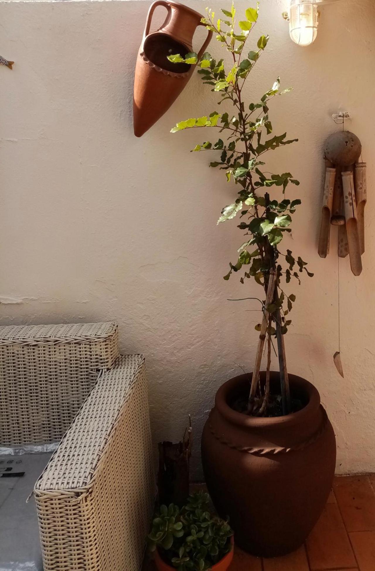 Willa Casa Rustica Olhão Zewnętrze zdjęcie